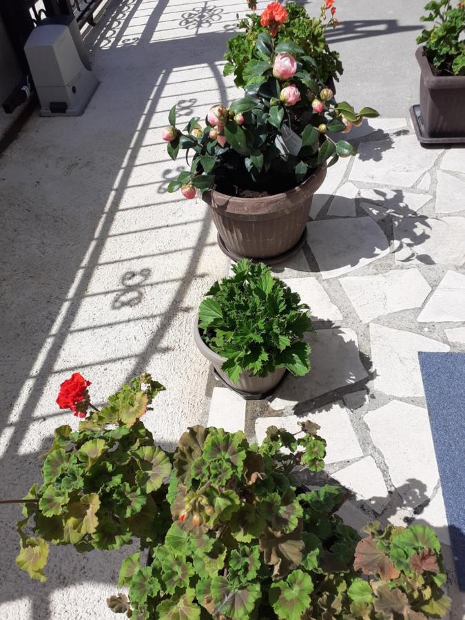 Apartment K2 Radanovici Luaran gambar