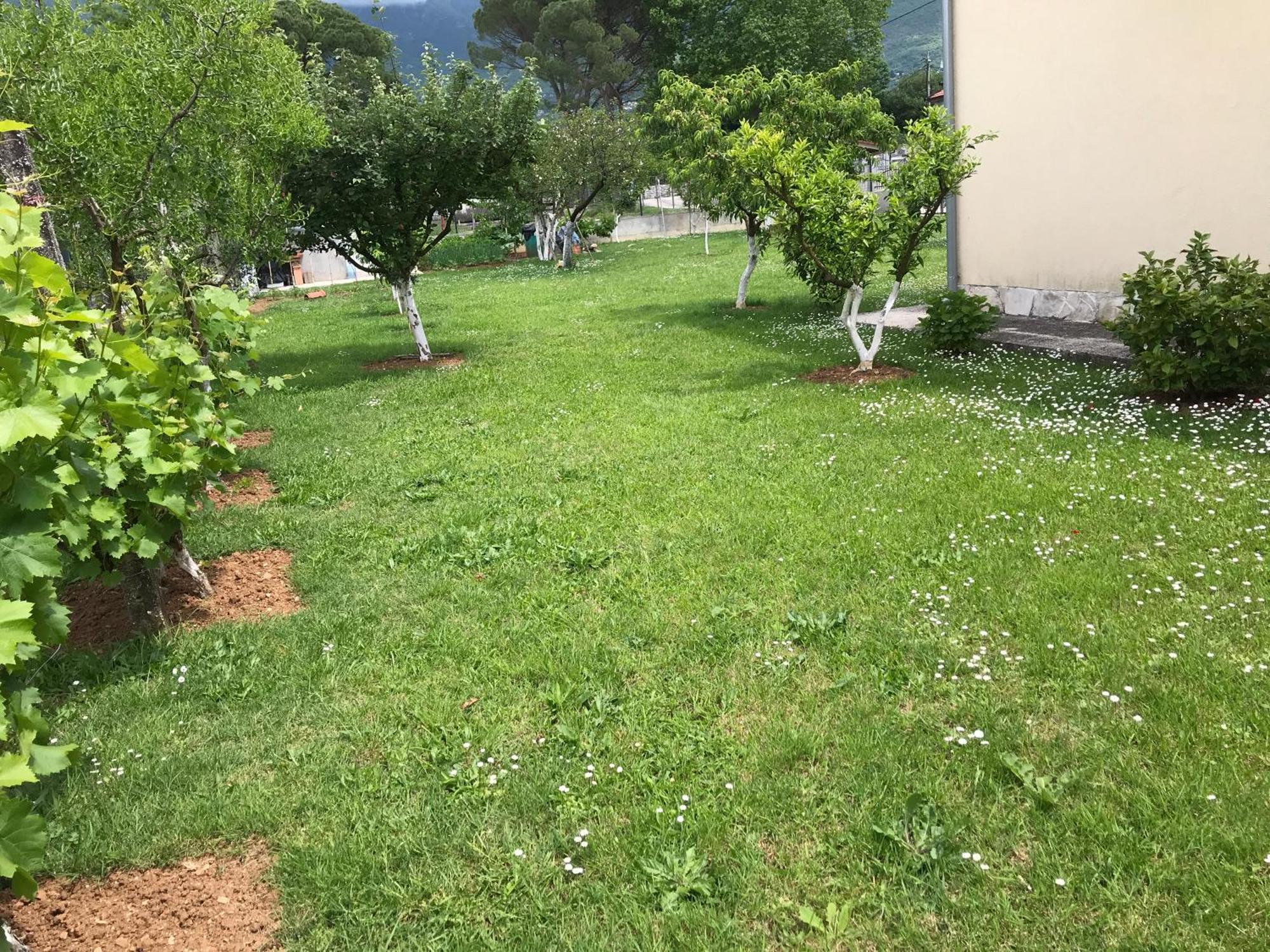 Apartment K2 Radanovici Luaran gambar